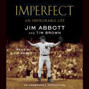 Imperfect by  Tim Brown audiobook