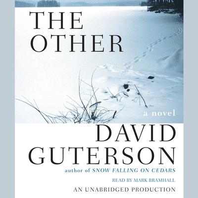 The Other by David Guterson audiobook