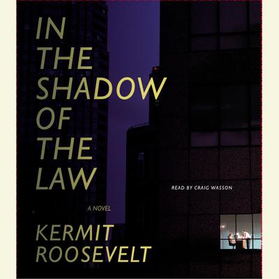 In the Shadow of the Law by Kermit Roosevelt audiobook