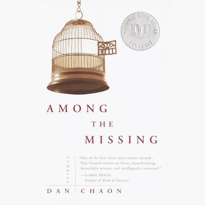 Among the Missing by Dan Chaon audiobook