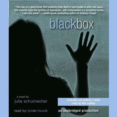 Black Box by Julie Schumacher audiobook