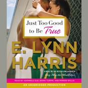 Just Too Good to Be True by  E. Lynn Harris audiobook