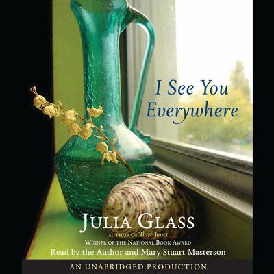 I See You Everywhere by Julia Glass audiobook