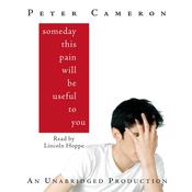 Someday This Pain Will Be Useful to You by  Peter Cameron audiobook