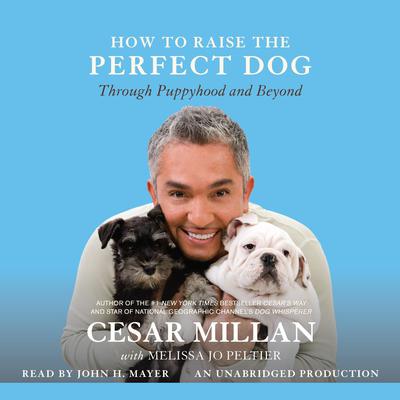 How to Raise the Perfect Dog by Cesar Millan audiobook