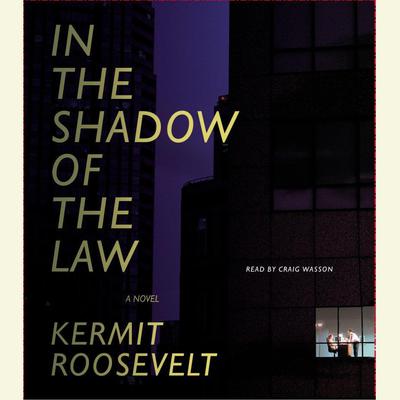 In the Shadow of the Law by Kermit Roosevelt audiobook