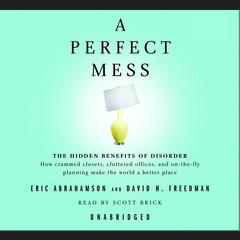 A Perfect Mess by Eric Abrahamson audiobook