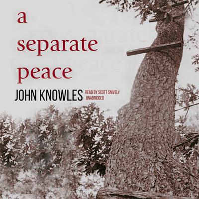 A Separate Peace by John Knowles audiobook