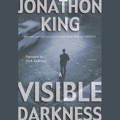 A Visible Darkness by Jonathon King audiobook