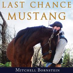 Last Chance Mustang by Mitchell Bornstein audiobook