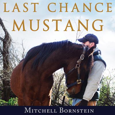 Last Chance Mustang by Mitchell Bornstein audiobook