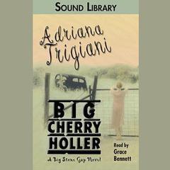 Big Cherry Holler by Adriana Trigiani audiobook