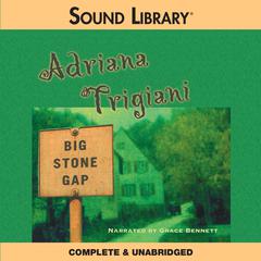 Big Stone Gap by Adriana Trigiani audiobook