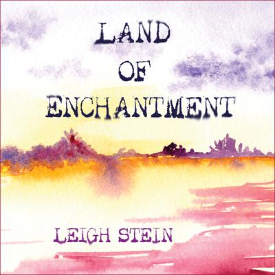 Land of Enchantment by Leigh Stein audiobook