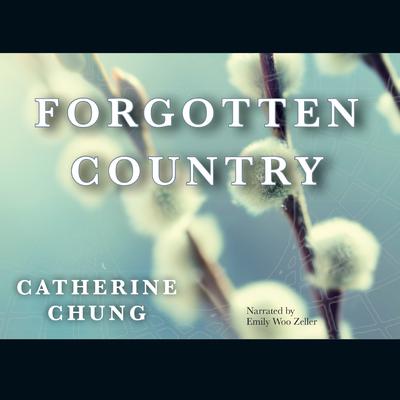 Forgotten Country by Catherine Chung audiobook