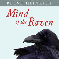Mind of the Raven by Bernd Heinrich audiobook