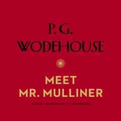 Meet Mr. Mulliner by P. G. Wodehouse audiobook