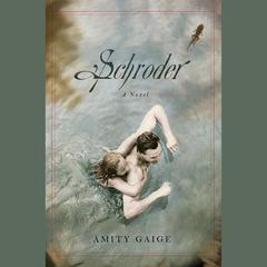 Schroder by Amity Gaige audiobook