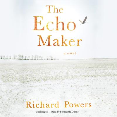 The Echo Maker by Richard Powers audiobook