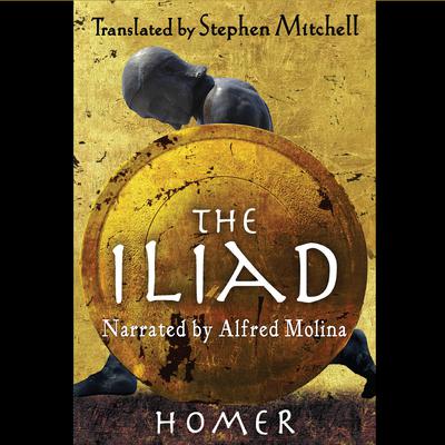 The Iliad by Homer audiobook