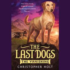 The Vanishing by Christopher Holt audiobook