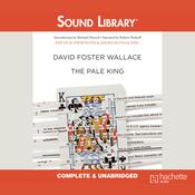 The Pale King by  David Foster Wallace audiobook