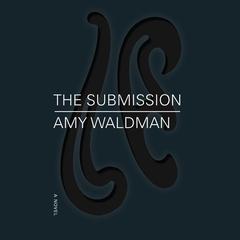 The Submission by Amy Waldman audiobook