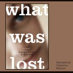What Was Lost by Catherine O'Flynn audiobook