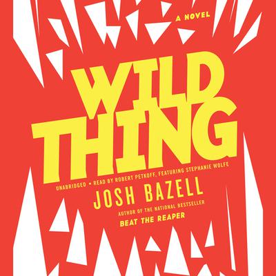 Wild Thing by Josh Bazell audiobook