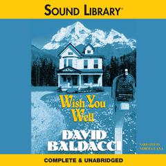 Wish You Well by David Baldacci audiobook