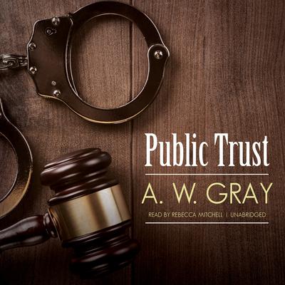 Public Trust by A. W. Gray audiobook