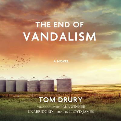 The End of Vandalism by Tom Drury audiobook