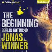 The Beginning by  Jonas Winner audiobook