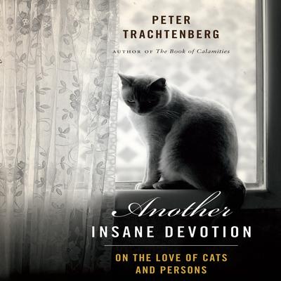 Another Insane Devotion by Peter Trachtenberg audiobook