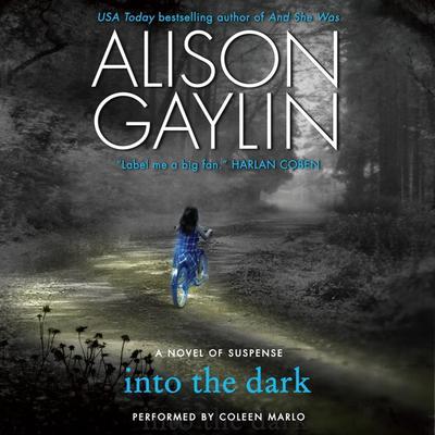 Into the Dark by Alison Gaylin audiobook
