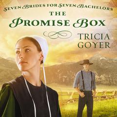 The Promise Box by Tricia Goyer audiobook