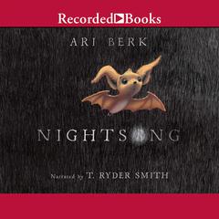 Nightsong by Ari Berk audiobook