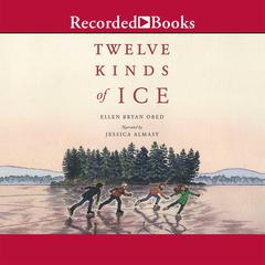 Twelve Kinds of Ice by Ellen Bryan Obed audiobook