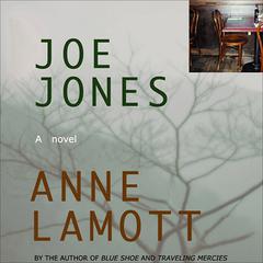 Joe Jones by Anne Lamott audiobook