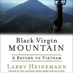 Black Virgin Mountain by Larry Heinemann audiobook