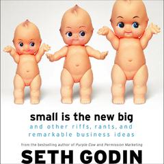 Small Is the New Big by Seth Godin audiobook