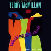 Waiting to Exhale by  Terry McMillan audiobook