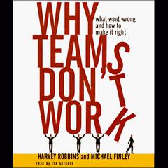 Why Teams Don't Work by Harvey Robbins audiobook