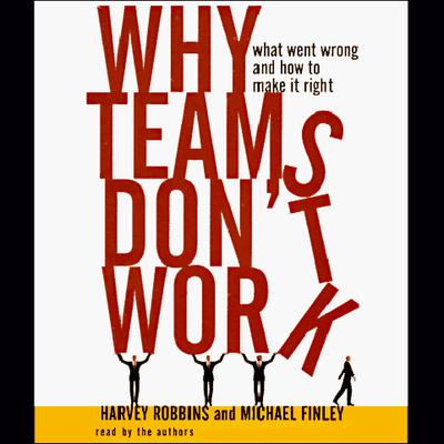 Why Teams Don't Work by Harvey Robbins audiobook