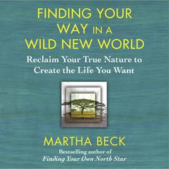 Finding Your Way in a Wild New World by Martha Beck audiobook