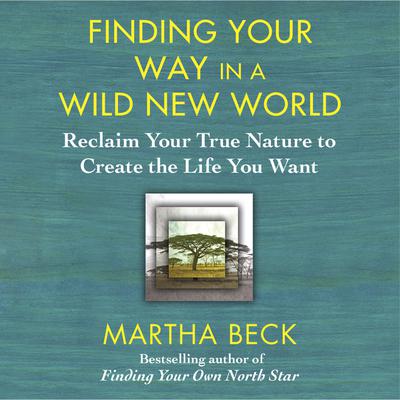 Finding Your Way in a Wild New World by Martha Beck audiobook