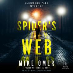 Spider's Web by Mike Omer audiobook