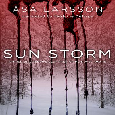 Sun Storm by Åsa Larsson audiobook