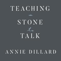 Teaching a Stone to Talk by Annie Dillard audiobook