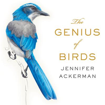 The Genius of Birds by Jennifer Ackerman audiobook